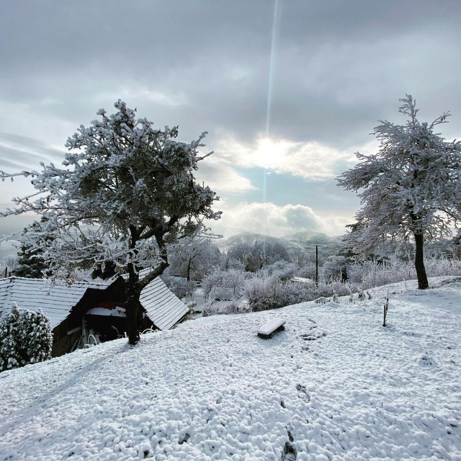Libling Ruzovy Konuk evi Banská Štiavnica Dış mekan fotoğraf