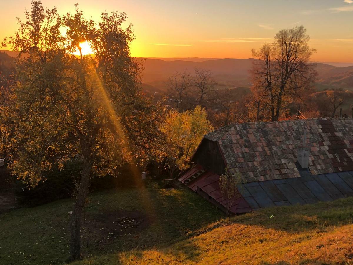 Libling Ruzovy Konuk evi Banská Štiavnica Dış mekan fotoğraf